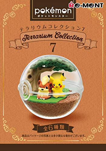 ポケモンテラリウムコレクション7 6個入 食玩 ガム ポケモン フィギュア ホビーの通販なら Metalbox メタルボックス