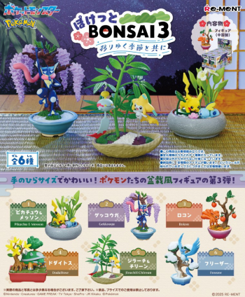 【予約2025年04月】ぽけっとBONSAI3-移りゆく季節と共に- 6パック入りBOX リーメント