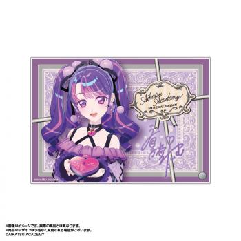 【予約2025年05月】アイカツアカデミー！ 撮りおろし A5アクリルアート 凛堂たいむ あみあみ