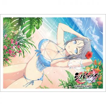 【予約2024年10月】シノビマスター 閃乱カグラ NEW LINK スリーブ（雪泉／SV10周年盛・伝説爆乳祭） カーテン魂