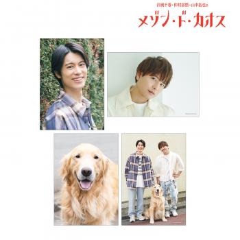 【予約2024年12月】沢城千春 仲村宗悟 山中拓也のメゾン・ド・カオス ブロマイド4枚セット vol.2 ver.A アルマビアンカ