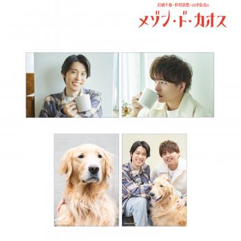 【予約2024年12月】沢城千春 仲村宗悟 山中拓也のメゾン・ド・カオス ブロマイド4枚セット vol.2 ver.B アルマビアンカ