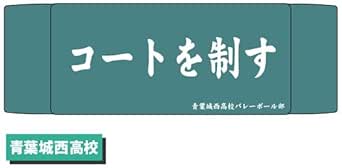 【予約2024年12月】ヘアバンド ハイキュー！！ 02 青葉城西高校 タカラトミーアーツ