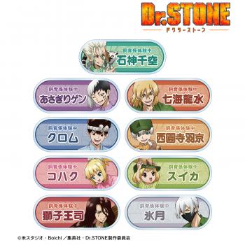 【予約2025年03月】TVアニメ「Dr.STONE」 描き下ろし 飼育係ver. トレーディングアクリルネームプレート 9パック入りBOX アルマビアンカ